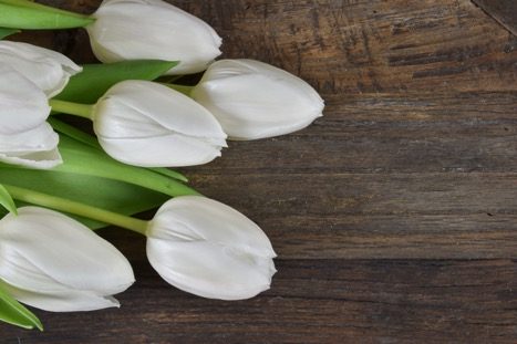 Say It with Flowers: Meanings Behind the 10 Most Popular Sympathy Buds