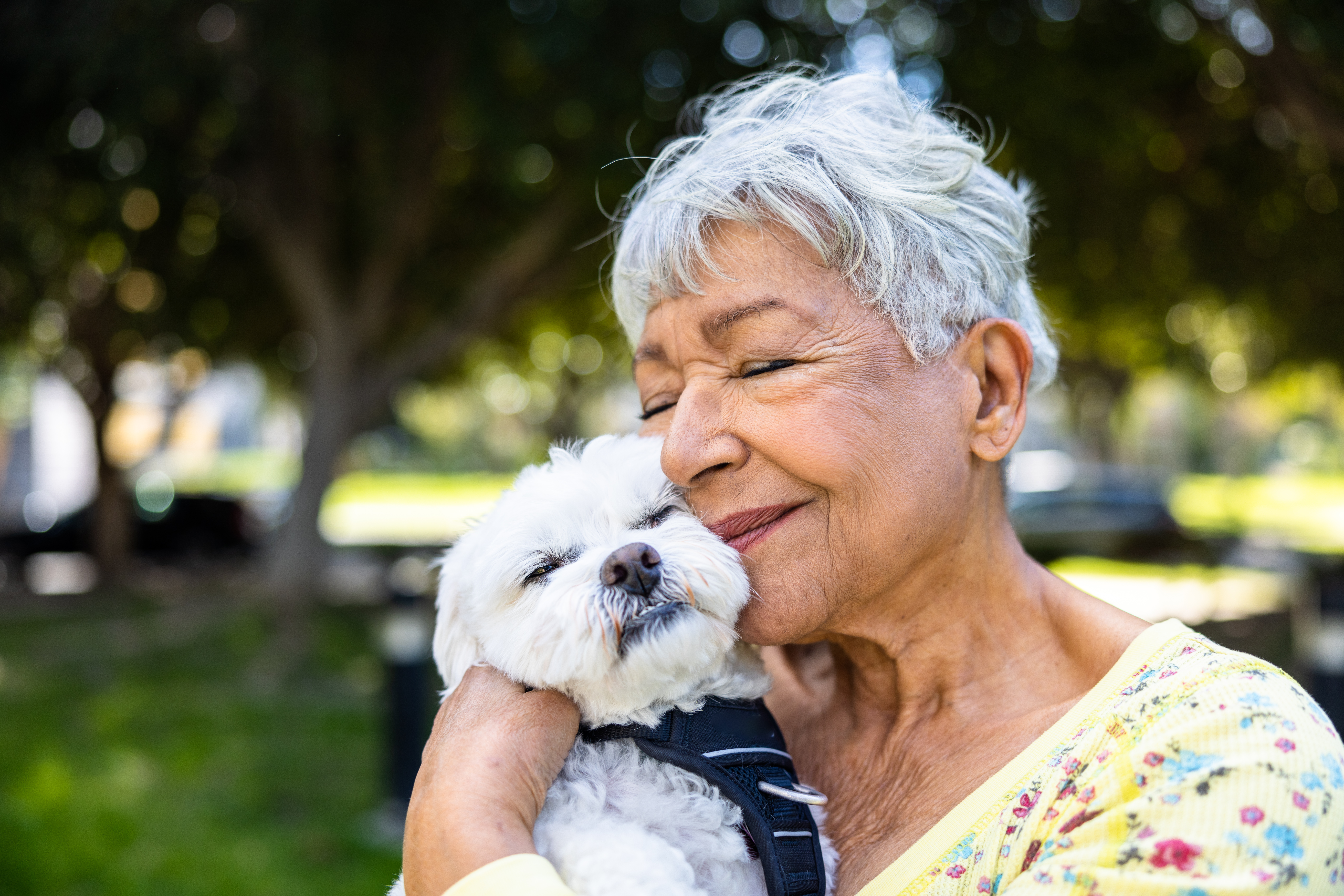 Lean on Pets for Emotional Support When Grieving